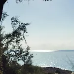 Acasadimiki * Ceriana