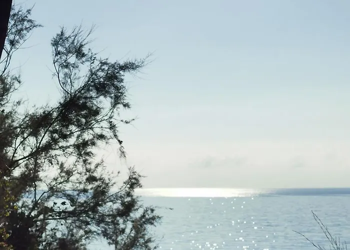 Acasadimiki * Ceriana